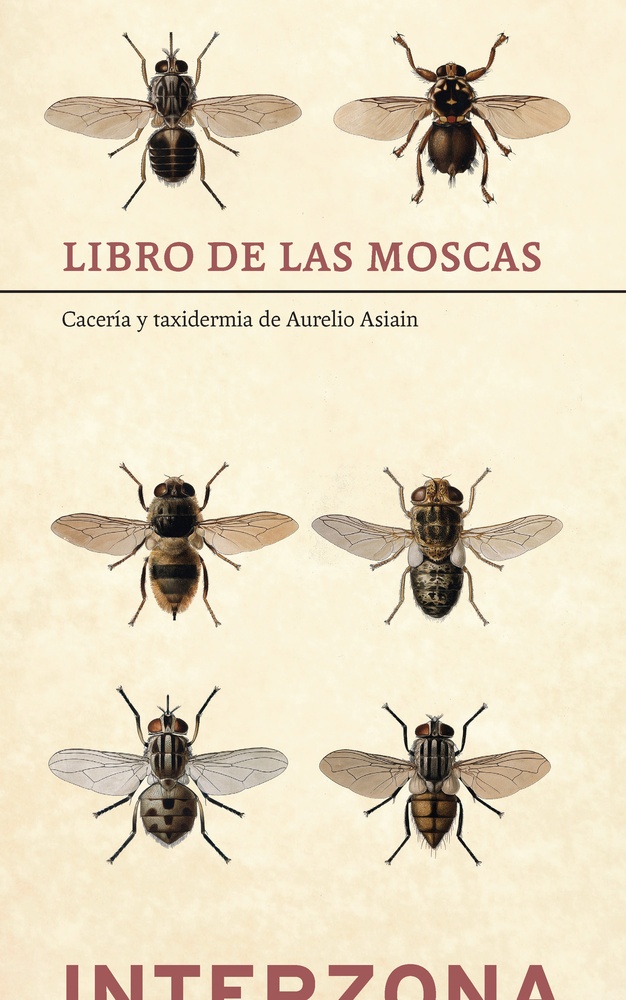 Libro de las moscas