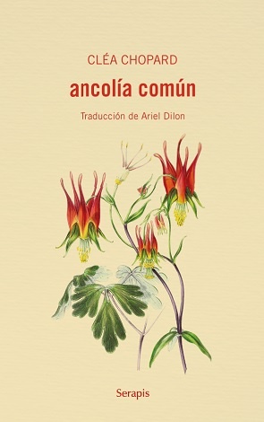 Ancolia comun