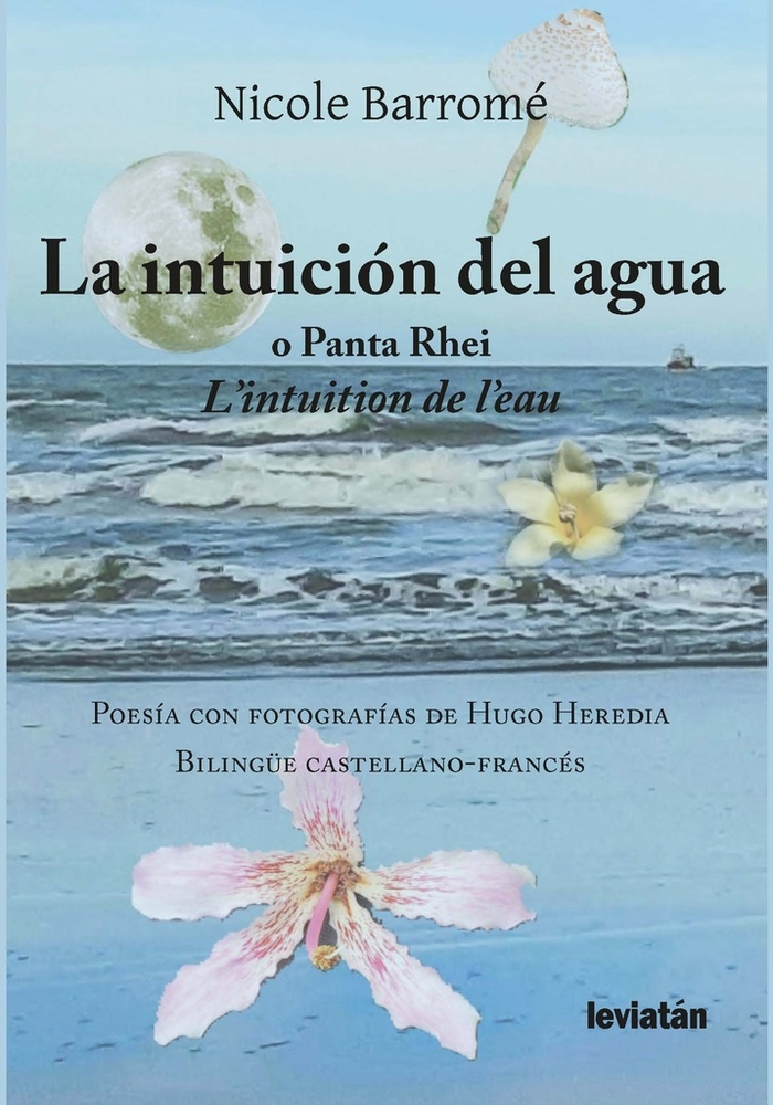 La Intuición Del Agua