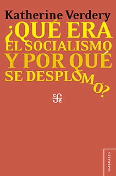 Que era el socialismo y por que se desplomo?