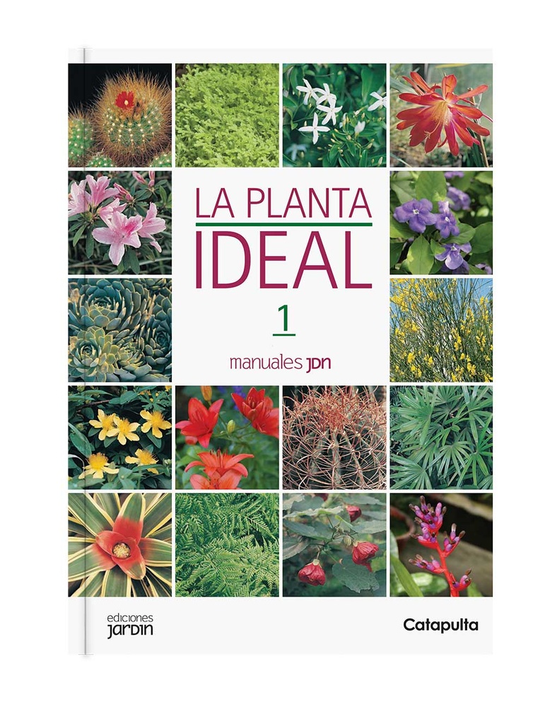 La planta ideal