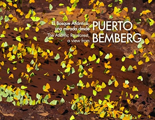 Puerto Bemberg