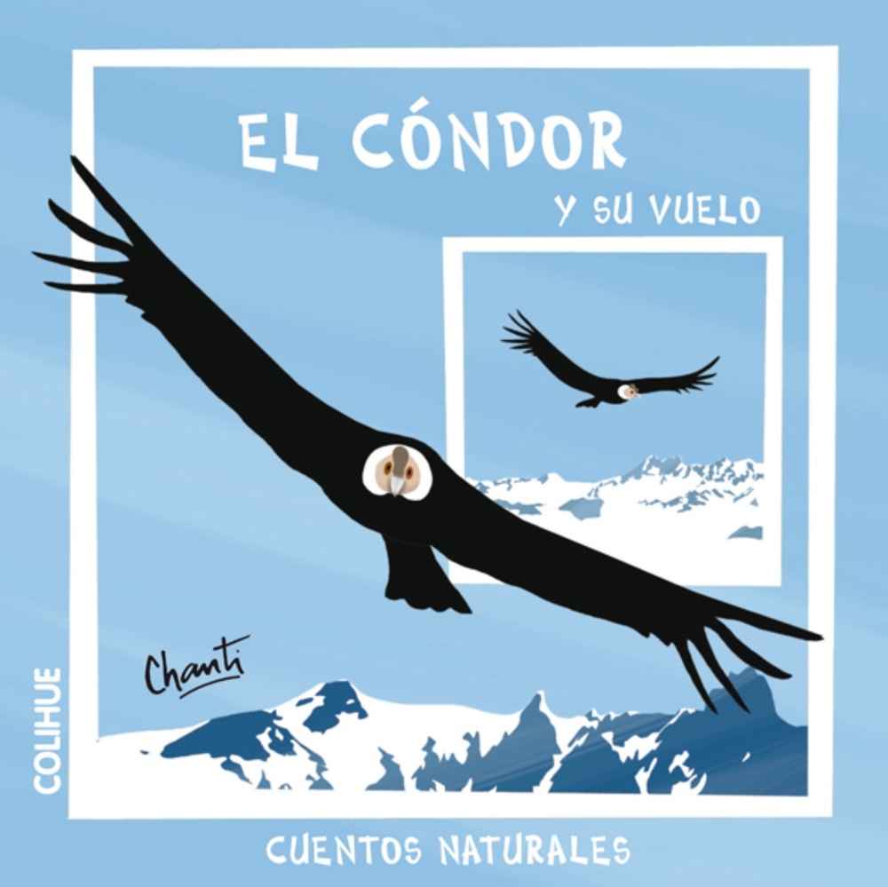 El Condor y su vuelo