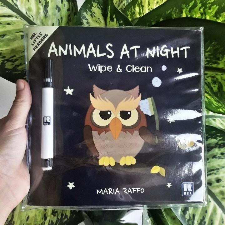 Animals at night