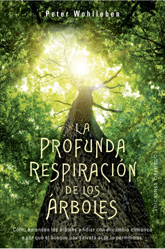 La profunda respiracion de los arboles