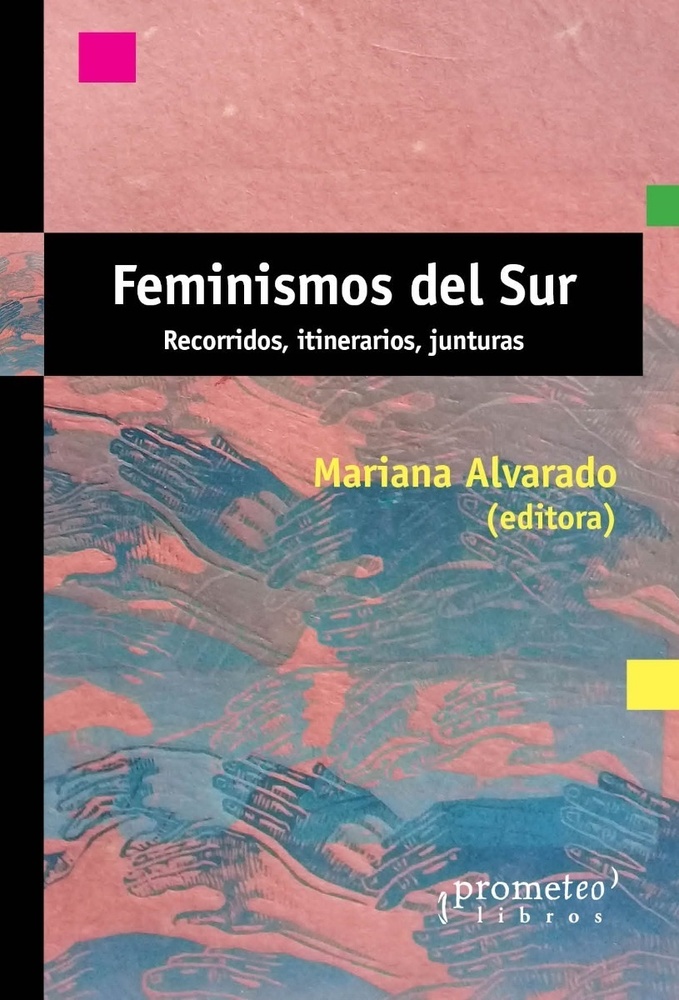 Feminismos del Sur