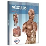 Musculos