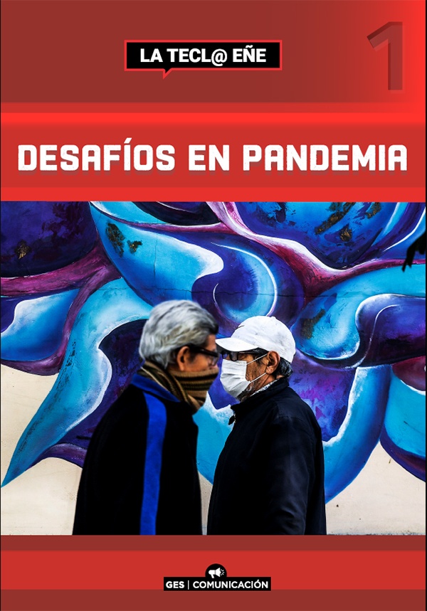 Desafios En Pandemia