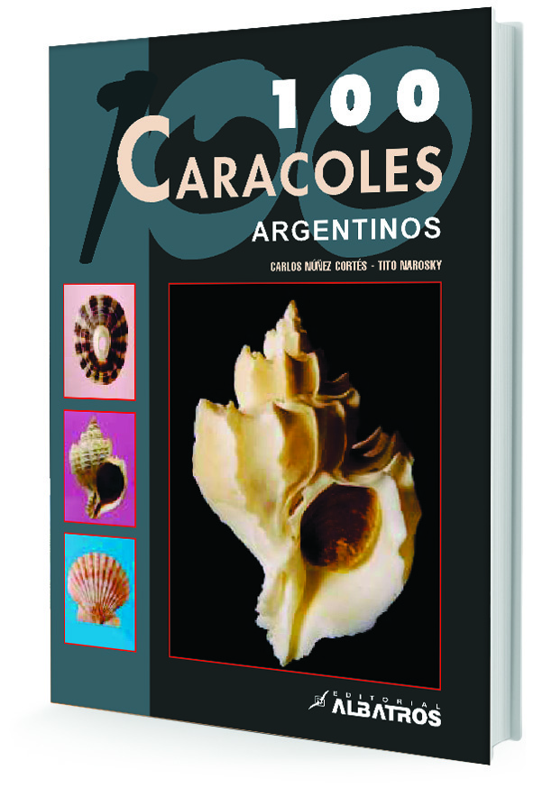 100 caracoles argentinos