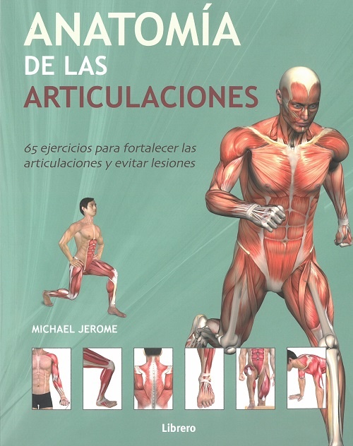 Anatomia de las articulaciones