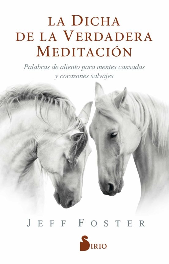 La dicha de la verdadera meditacion