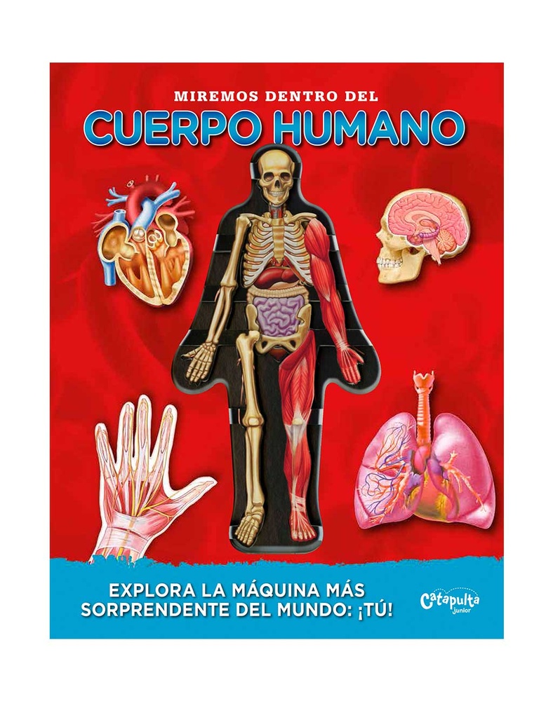 Miremos dentro del cuerpo humano - Nueva edicion