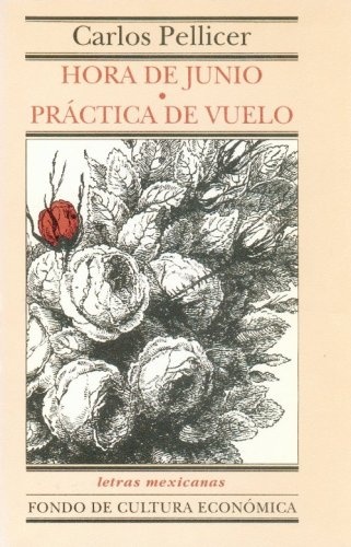 Hora de junio y practica de vuelo