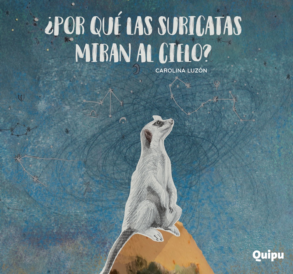 Por que las suricatas miran al cielo