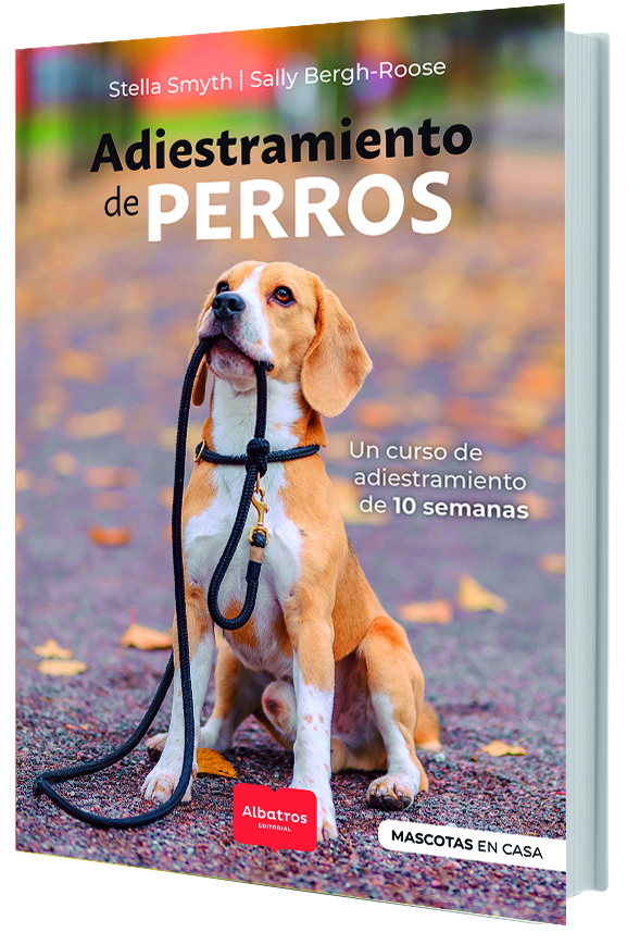 Adiestramiento de perros