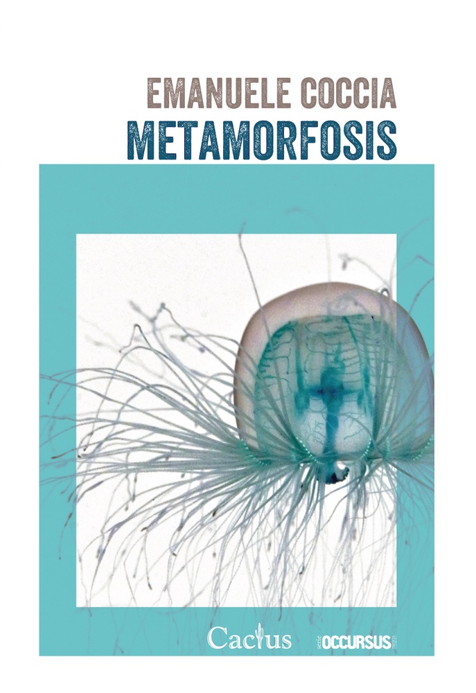 Metamorfosis