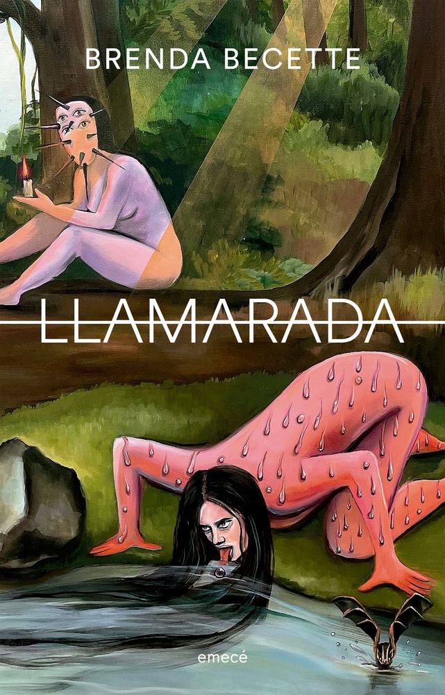 LLamarada