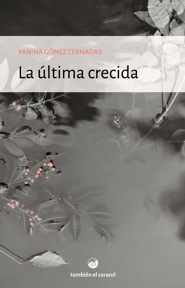 La ultima crecida