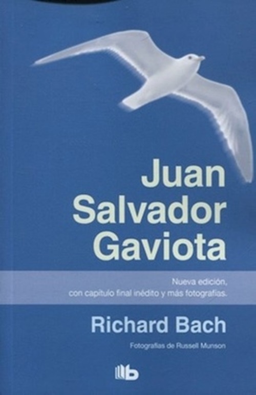 Juan Salvador Gaviota