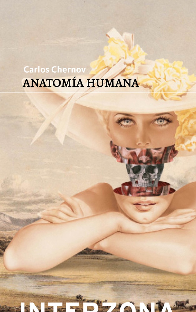 Anatomia humana