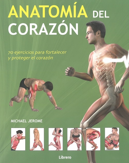 Anatomia Del Corazon