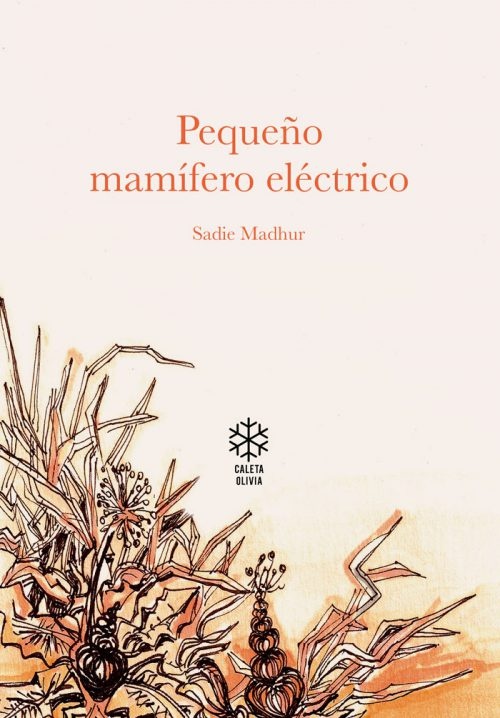 Pequeño mamífero eléctrico