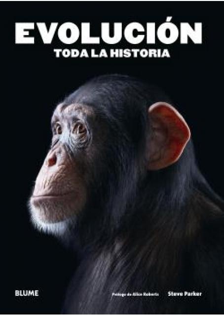 Evolucion. Toda la historia