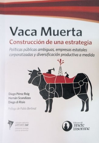 Vaca Muerta. Construccion de una estrategia