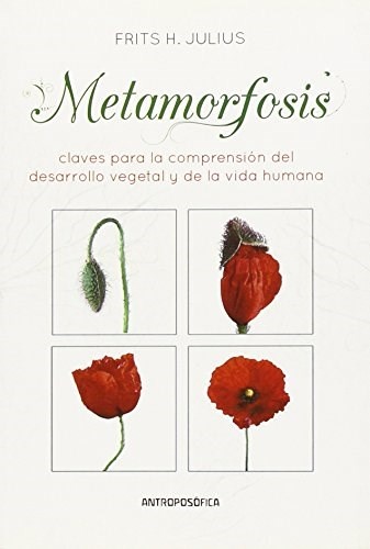 Metamorfosis