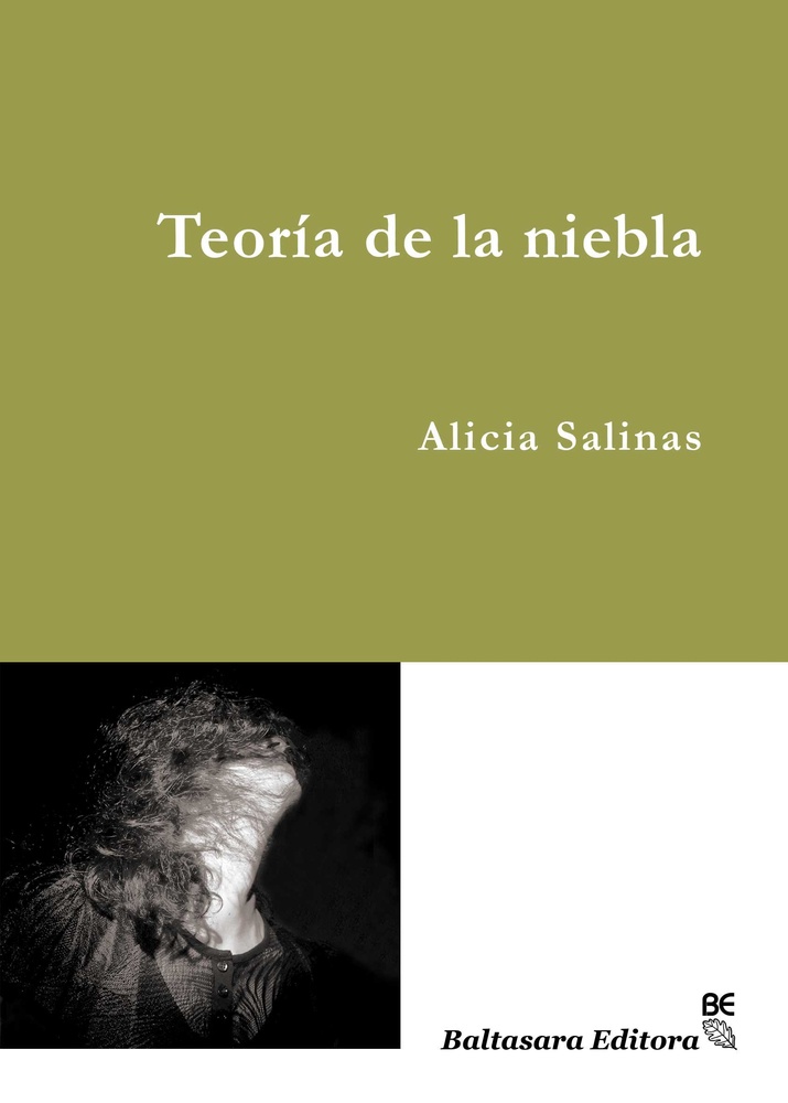 Teoria de la niebla