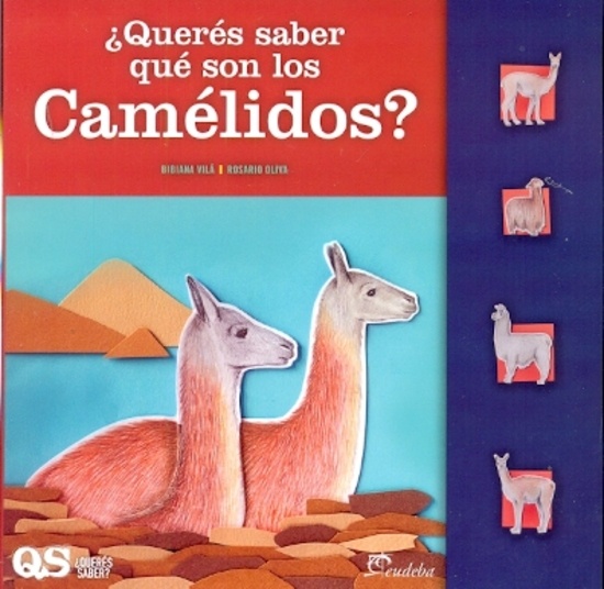 Queres saber que son los camelidos?