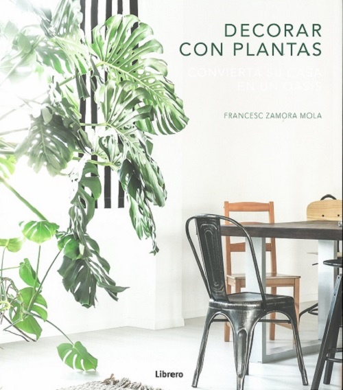 Decorar con plantas