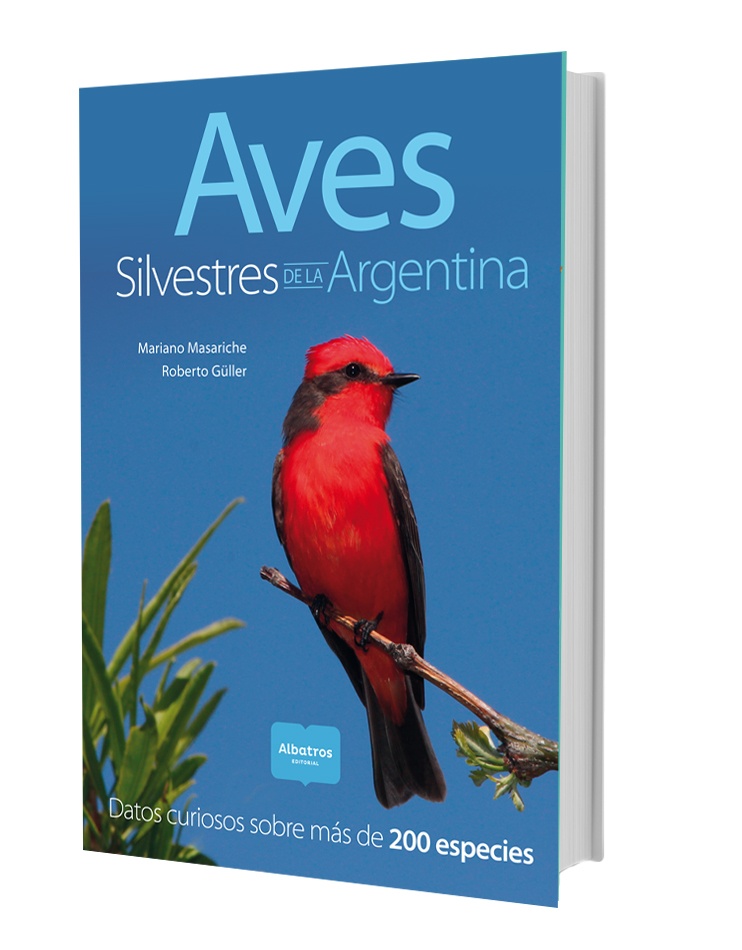 Aves silvestres de la argentina