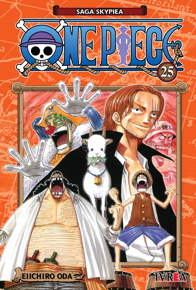 One Piece 25