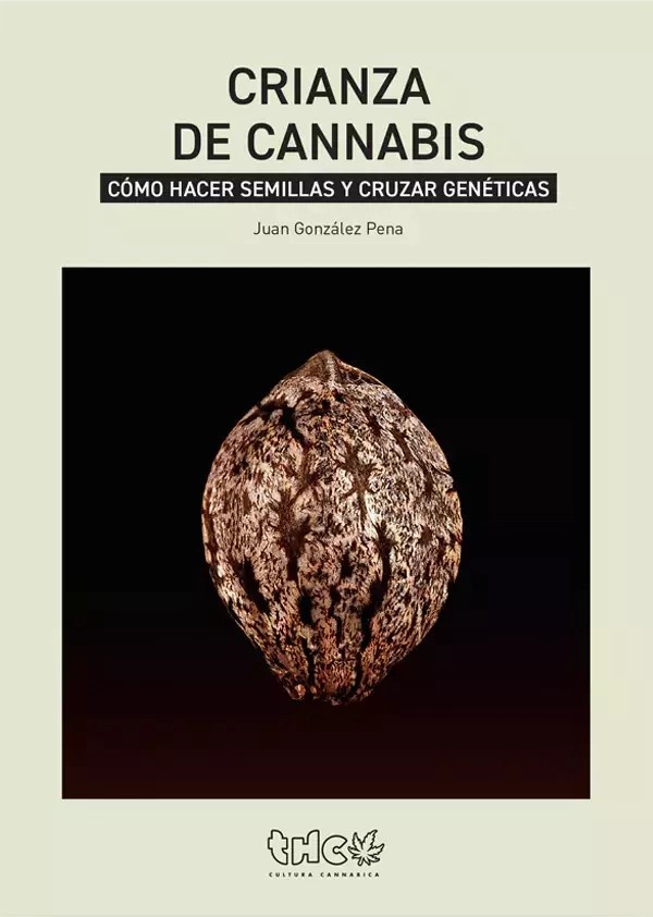 Crianza de Cannabis: Cómo hacer semillas y cruzar genéticas