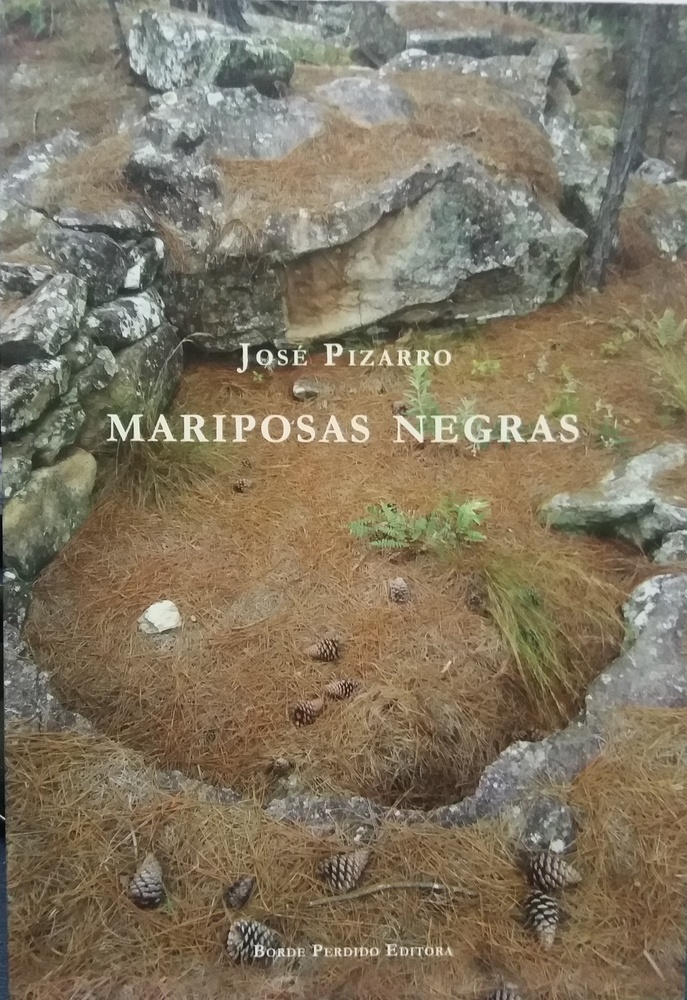 Mariposas negras