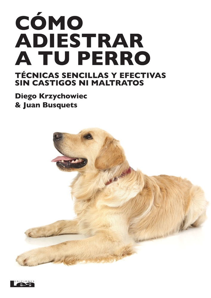 Como adiestrar a tu perro