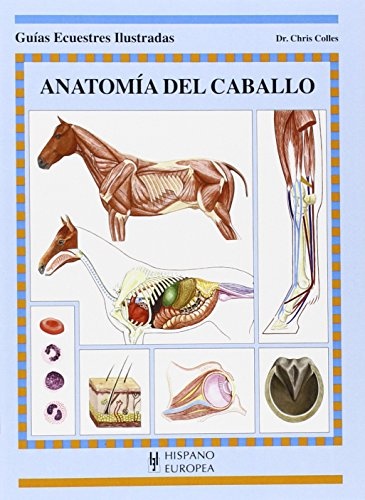 Anatomia del caballo