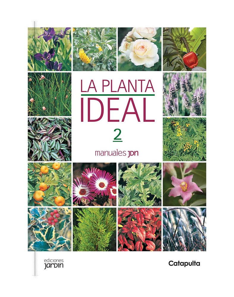 La planta ideal 2