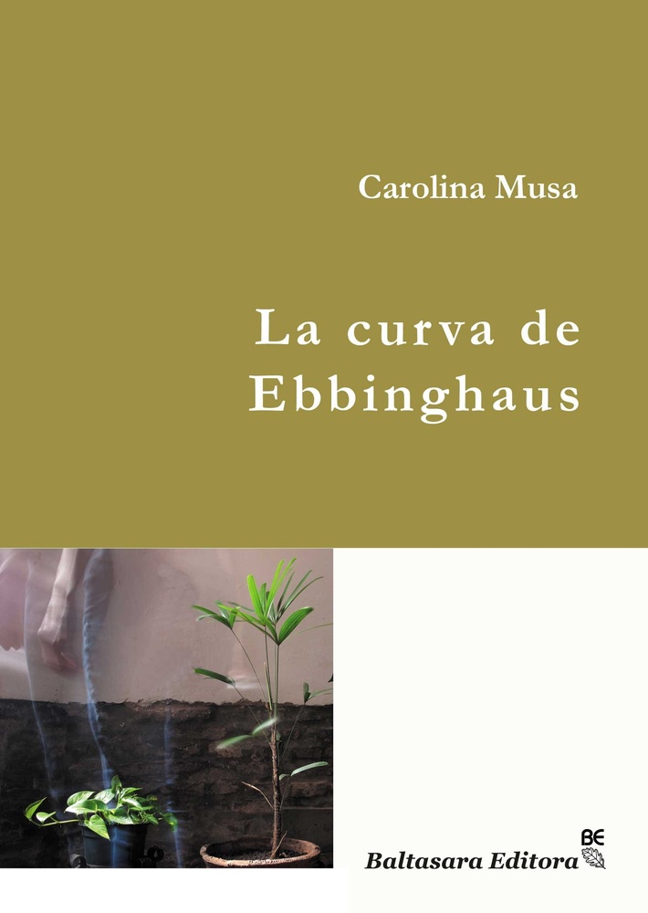 La Curva de Ebbinghaus