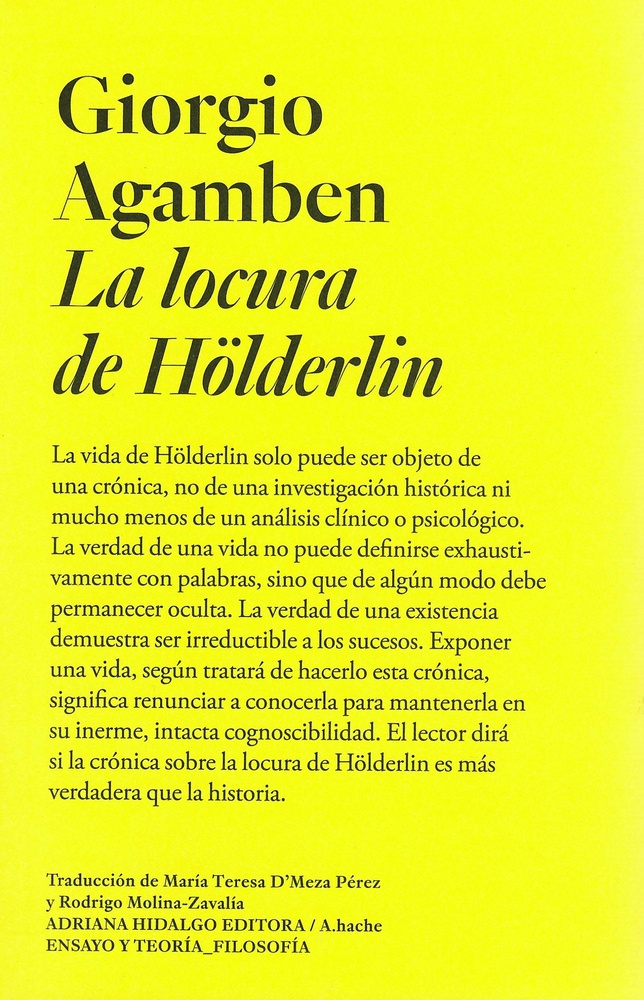 La locura de Hölderlin