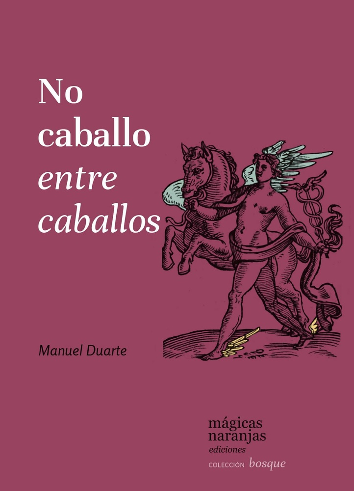 No caballo entre caballos